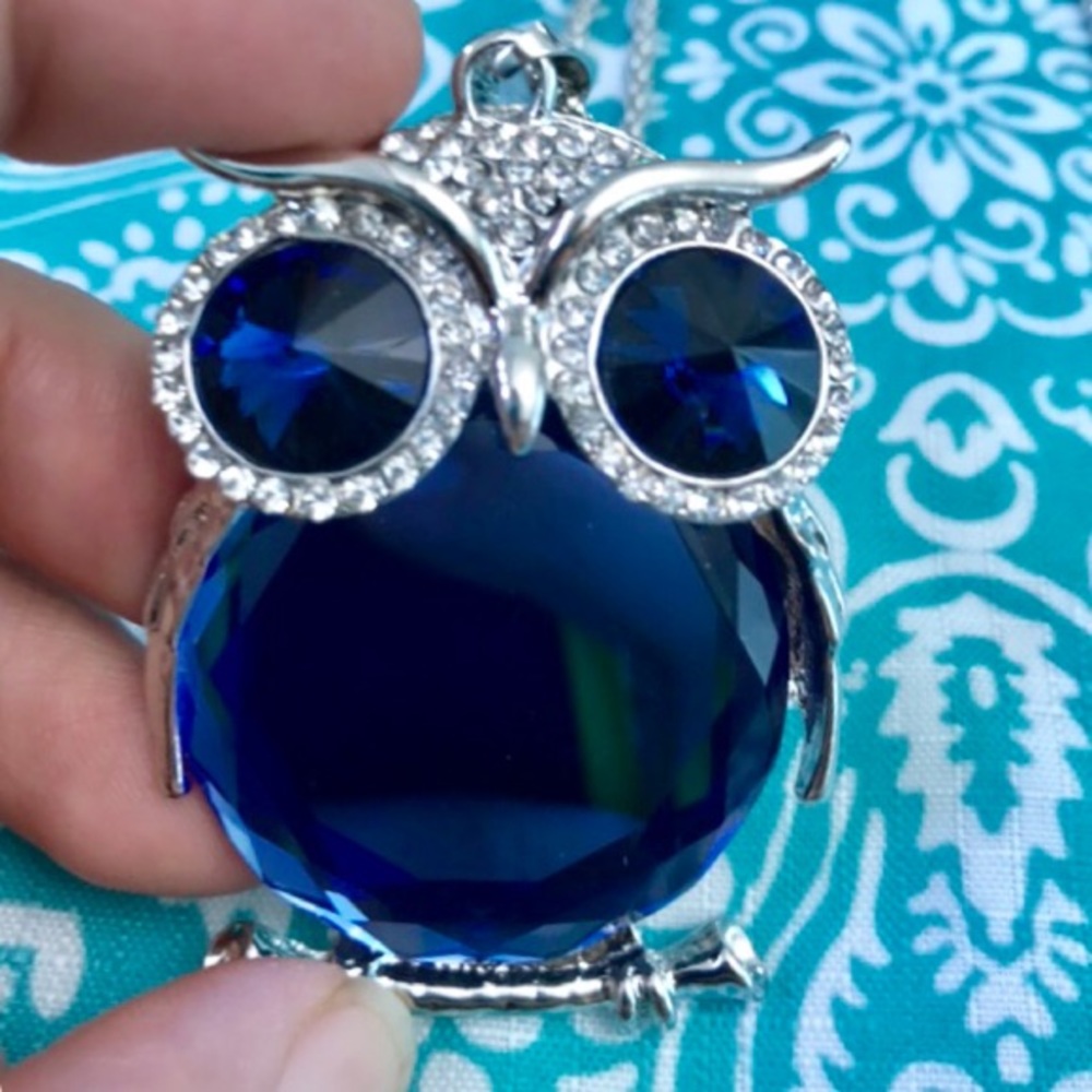 NEW!๐๐๐BIG BLUE OWL๐ฆSTATEMENT NECKLACE BIRD - Picture 3 of 8
